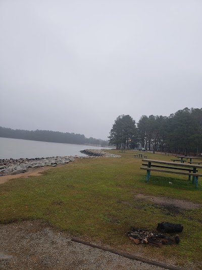 Fence Contractor in Chapin, SC