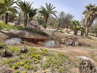 Parque El Boticario de Almería