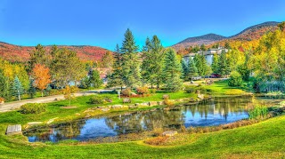 Stowe Country Homes