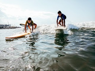 Waveaddict Surfschool