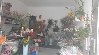 Floristería Pétalos