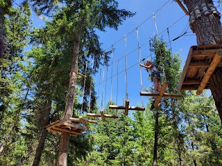 Tree To Tree Idaho adventure park