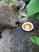 Photo of Van Tassel Feed & Garden Center - 3569 East State Street, Barberton, OH 44203, USA