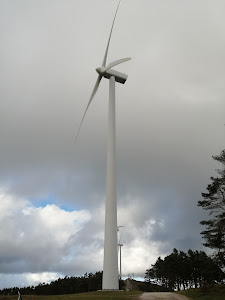 Parque Eólico. La Casa del Puerto, Tineo (1.025 m.)