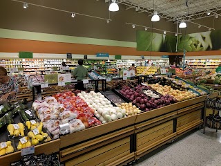 Publix Super Market at Twelve Oaks Shopping Center