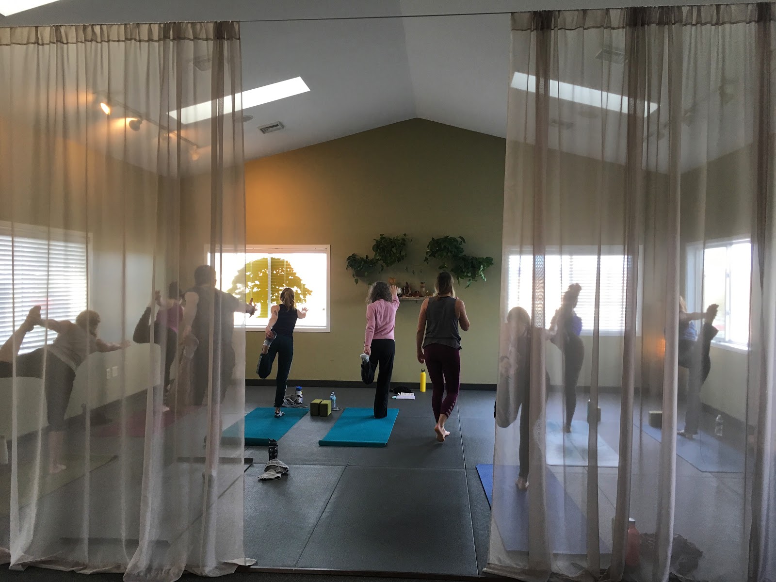 Organic Yoga & Wellness in Vestal, NY, US