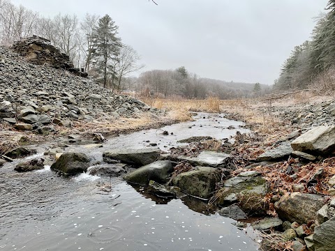 Photo of Wieloch Woods - Dudley, MA 01571, USA