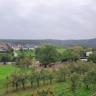 Gästehaus Zum Wolffenturm - Martin Wolff