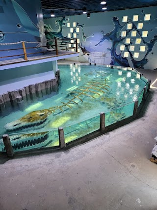 Houston Interactive Aquarium & Animal Preserve