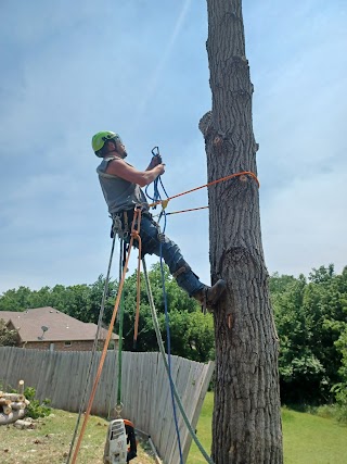 D&D TREE SERVICE & FIREWOOD DELIVERY(East,Ok)