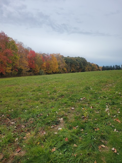 Eriksen Farm Open Space