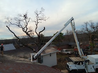 D&D TREE SERVICE & FIREWOOD DELIVERY(East,Ok)