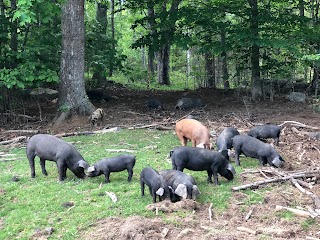 The Rooting Pig - A Charcuterie Bar at Broad Arrow Farm