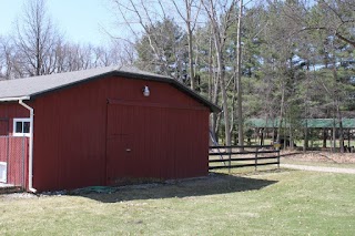 Red Barn Theater Camp