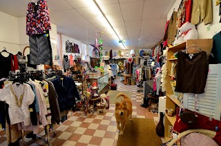 Lucky Dog Thrift Shop