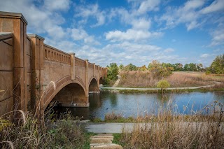 Central Park Boardwalk