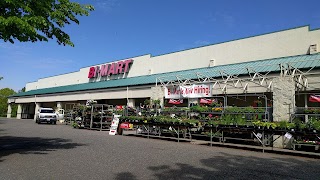 Bi-Mart Membership Discount Stores