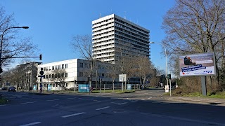 Institut für Toxikologie Johannes Gutenberg Universität Mainz