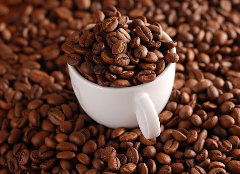 Photo of Refinery Coffee Company - 1525 West Wilden Avenue, Goshen, IN 46528, USA