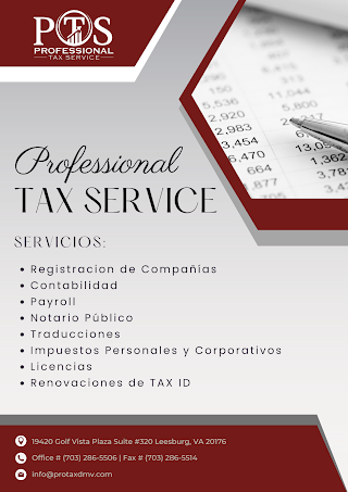 Professional Tax Service, LLC