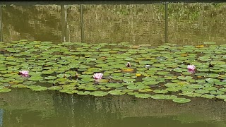 Parc de Vallparadís