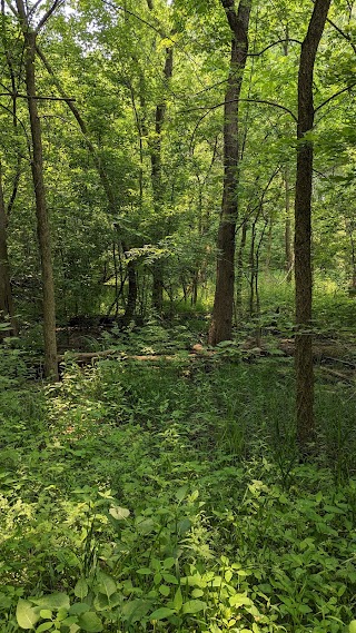 Cool Creek Park Nature Center