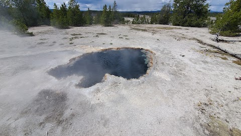 Surprise Pool