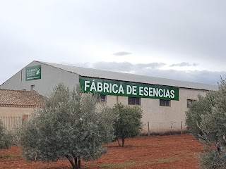 Fábrica de esencias. Peñarrubia del Alto Guadiana