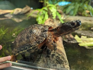 Pritzker Family Children's Zoo