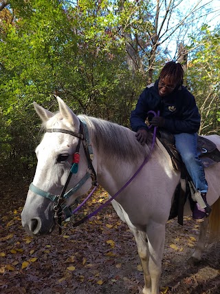 Sarah's Pony Rides