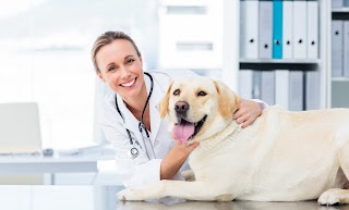 PetSmart Veterinary Services - Tucson (Oracle and Wetmore)