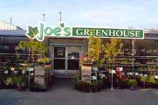 Joe's Greenhouse