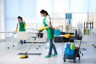 Delta Home Cleaning