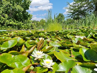 Botanischer Garten der Universität Würzburg