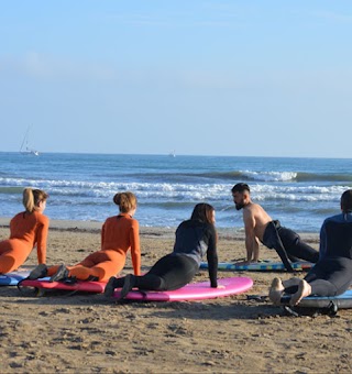 Waveaddict Surfschool