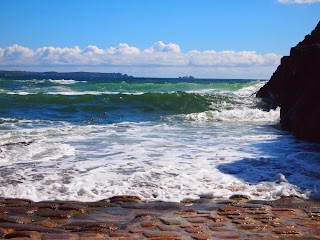 Ecole de Surf de Bretagne/esb-brest