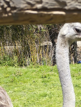 Zoo Reserva Animal La Pequeña África