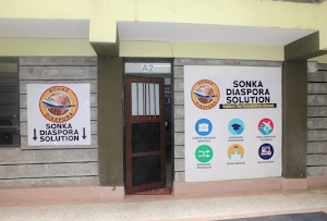 Sonka Diaspora Solution LTD