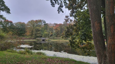 Lewisboro Town Pool