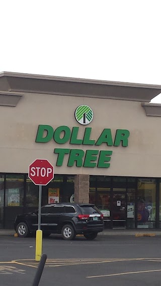 Dollar Tree