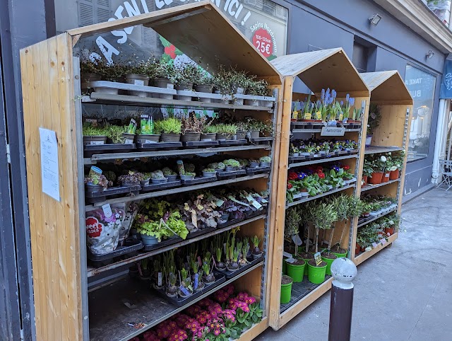 Plantes Pour Tous - République
