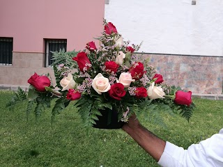 Floristería Verodes en Ingenio