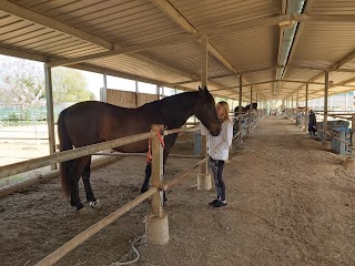 Club Hípica Julivert | Rutas a caballo