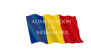Magazin romanesc Alimentación La Moroșanu