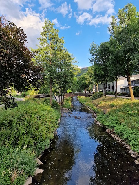 Parkhotel Olsberg