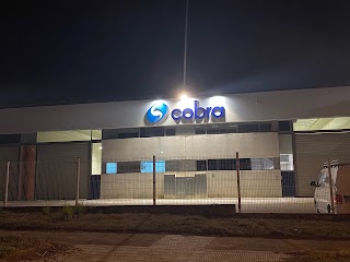 Cobra Instalaciones y Servicios S.A.