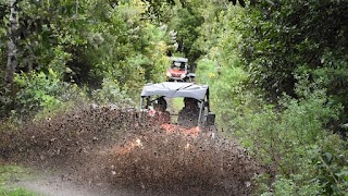 RhBuggy - Canary Live Experience. Excursiones en La Palma - Canarias