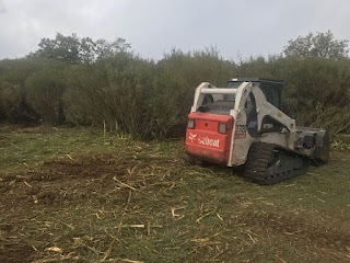 servicios tecnicos locales de rioja