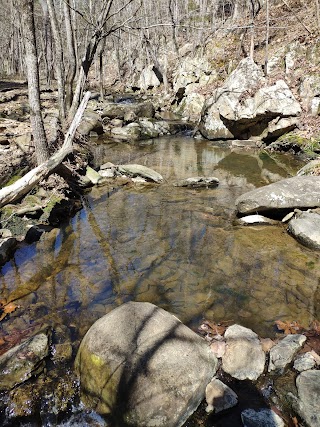 Cedar Falls Park