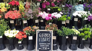 Gifford's Flowers